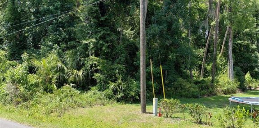 Land in Astor, Florida № 1736308