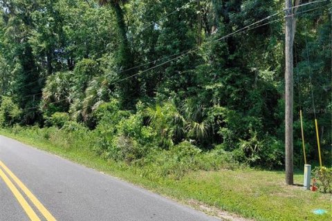 Land in Astor, Florida № 1736308 - photo 2