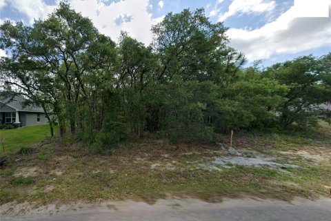 Terreno en Homosassa, Florida № 2164637