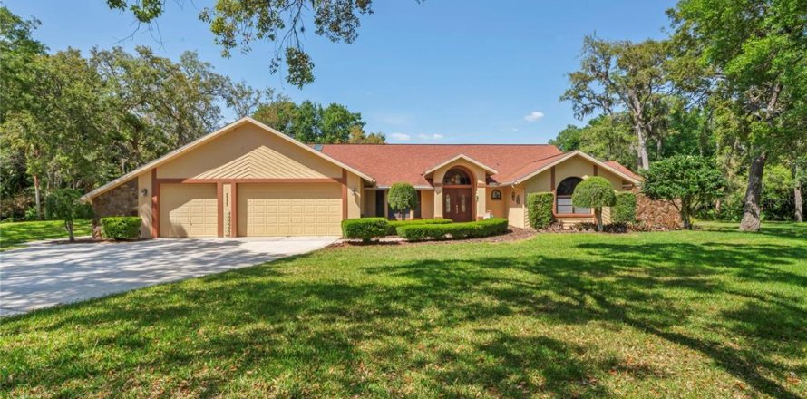 Casa en Spring Hill, Florida 4 dormitorios, 328.78 m2 № 1673235