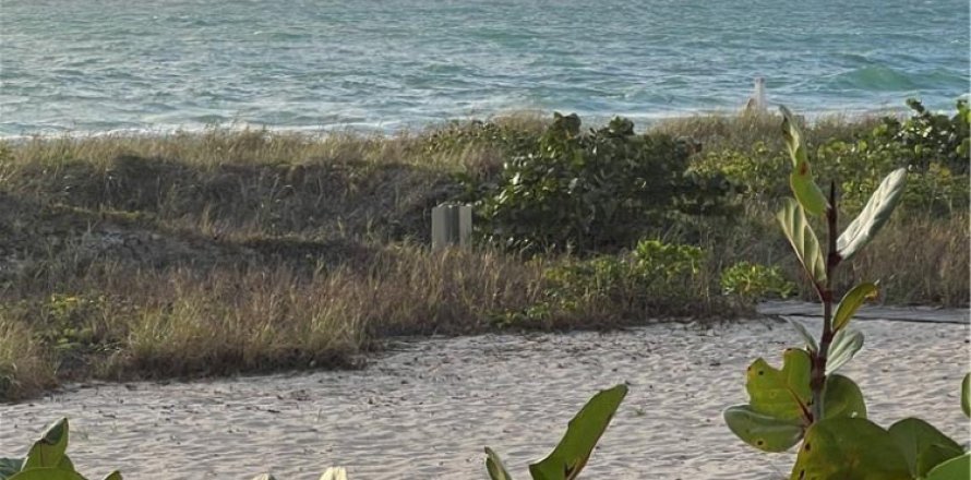 Condo à Lauderdale-by-the-Sea, Floride, 3 chambres № 1186447