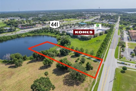 Land in Tavares, Florida № 1831525 - photo 6