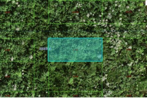 Land in Polk City, Florida № 2162232