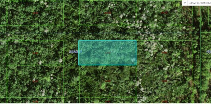 Land in Polk City, Florida № 2162232