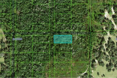 Land in Polk City, Florida № 2162232 - photo 2