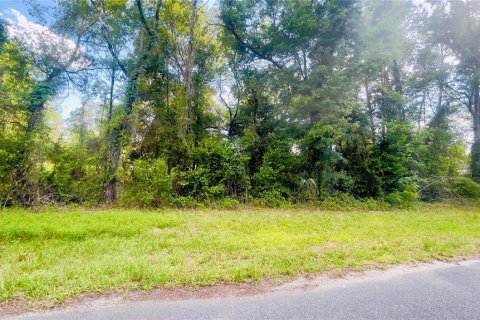 Land in Bronson, Florida № 2159124 - photo 3