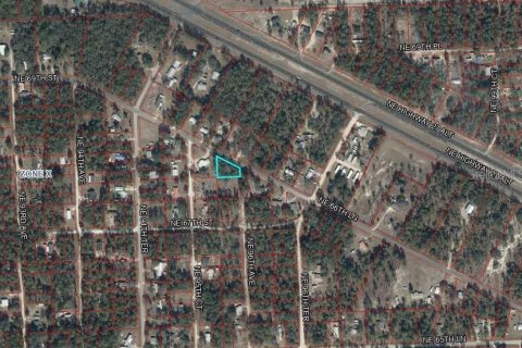 Land in Bronson, Florida № 2159124 - photo 7