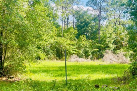 Land in Bronson, Florida № 2159124 - photo 5