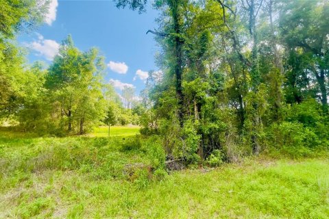 Land in Bronson, Florida № 2159124 - photo 4