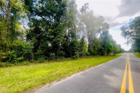 Land in Bronson, Florida № 2159124