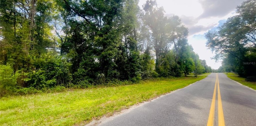 Land in Bronson, Florida № 2159124