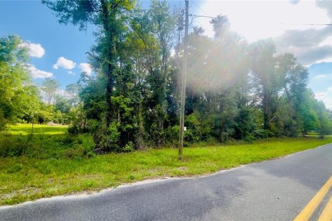 Land in Bronson, Florida № 2159124 - photo 2