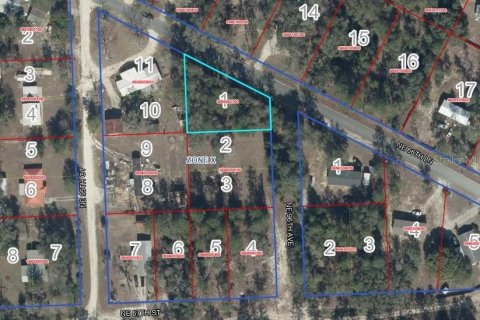 Land in Bronson, Florida № 2159124 - photo 6