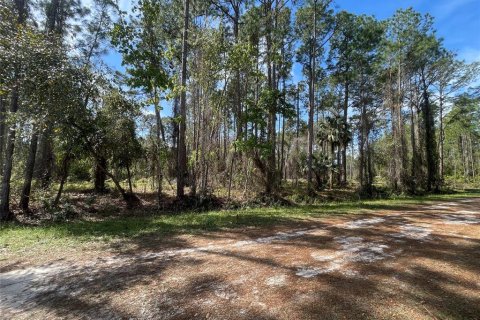 Land in Georgetown, Florida № 2160665 - photo 3