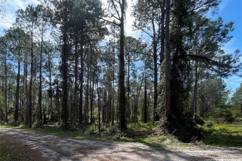 Terrain à Georgetown, Floride № 2160665