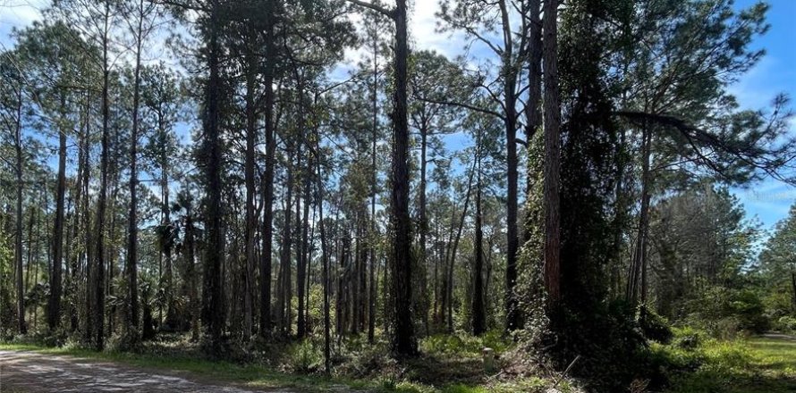 Land in Georgetown, Florida № 2160665