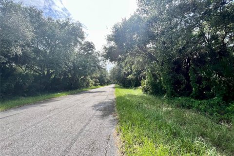 Land in Port Charlotte, Florida № 2159946 - photo 3