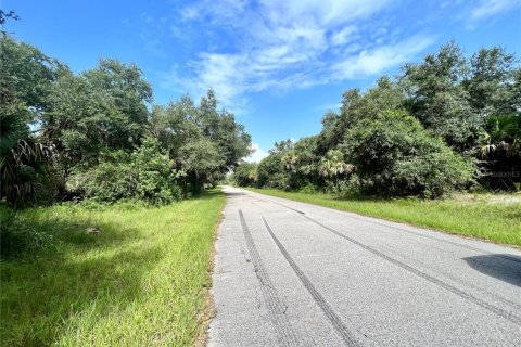 Land in Port Charlotte, Florida № 2159946 - photo 2