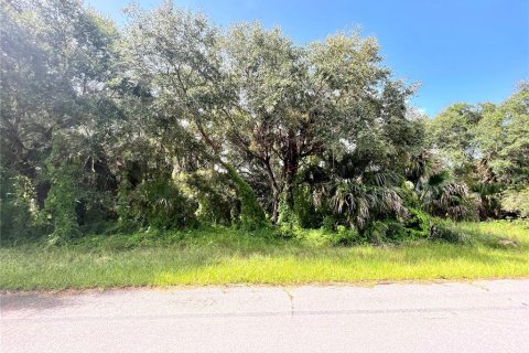 Land in Port Charlotte, Florida № 2159946