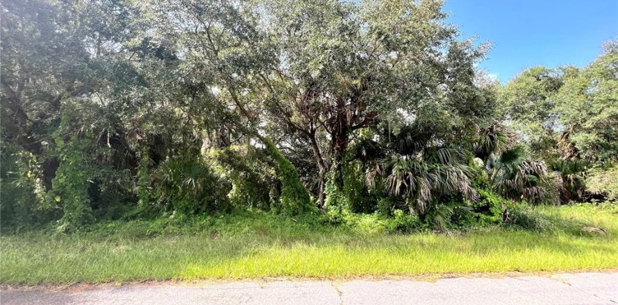 Land in Port Charlotte, Florida № 2159946