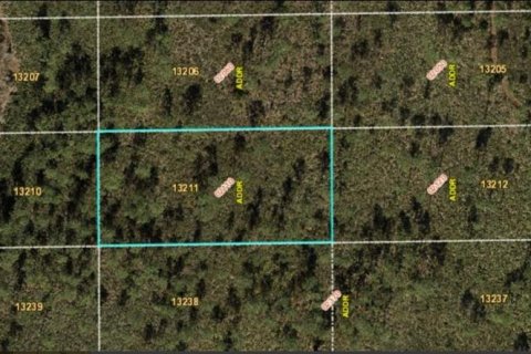 Land in Orlando, Florida № 2160505 - photo 2