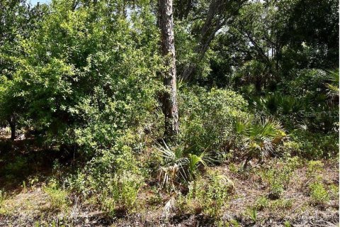 Land in North Port, Florida № 2164938 - photo 5
