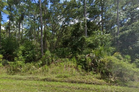 Land in North Port, Florida № 2164938 - photo 4