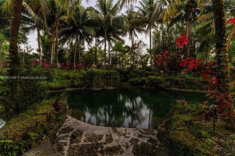 Land in Miami, Florida № 1963936 - photo 3