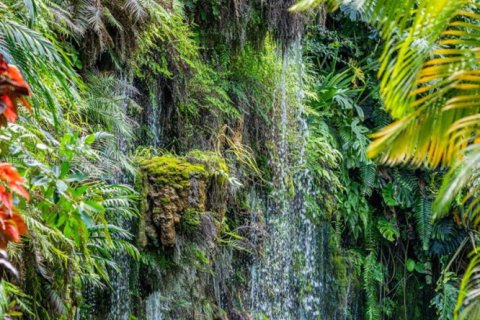 Land in Miami, Florida № 1963936 - photo 30