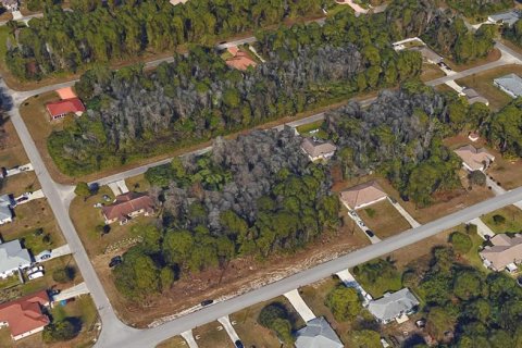 Land in Lehigh Acres, Florida № 1534918 - photo 5