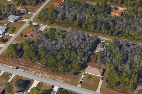 Land in Lehigh Acres, Florida № 1534918 - photo 2