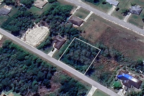 Land in Lehigh Acres, Florida № 1534918 - photo 8
