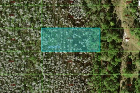 Terreno en Polk City, Florida № 2164018