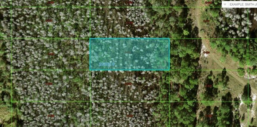 Terrain à Polk City, Floride № 2164018