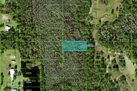 Terrain à vendre à Polk City, Floride № 2164018 - photo 2
