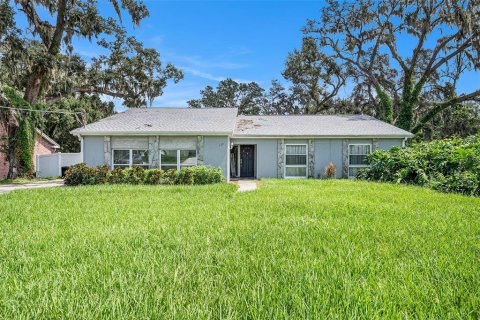 House in Seffner, Florida 3 bedrooms, 201.23 sq.m. № 1901931 - photo 1
