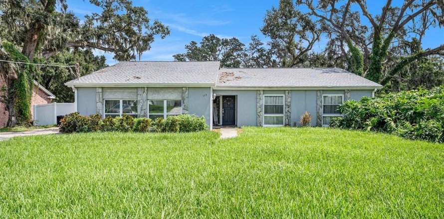House in Seffner, Florida 3 bedrooms, 201.23 sq.m. № 1901931