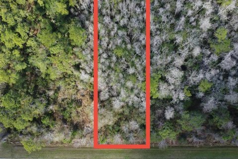Land in Christmas, Florida № 1827685 - photo 2