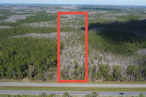 Land in Christmas, Florida № 1827685 - photo 1