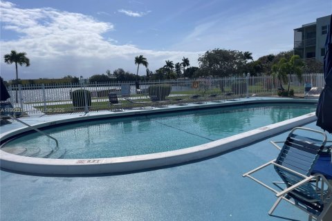 Condo in Hollywood, Florida, 1 bedroom  № 2260356 - photo 13