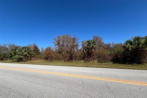 Land in Port Charlotte, Florida № 2164517 - photo 3