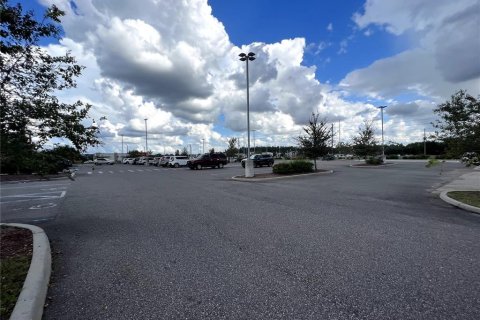 Land in Brooksville, Florida № 224836 - photo 7
