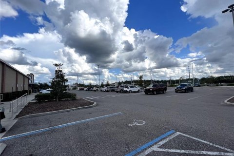 Land in Brooksville, Florida № 224836 - photo 12