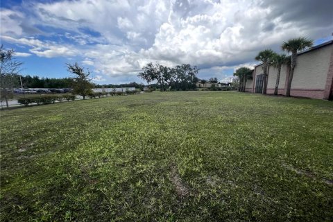 Land in Brooksville, Florida № 224836 - photo 2