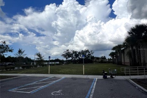 Land in Brooksville, Florida № 224836 - photo 4