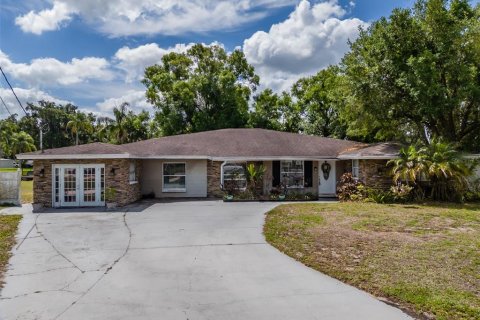 Casa en Lutz, Florida 5 dormitorios, 387.03 m2 № 2121170
