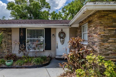 Casa en venta en Lutz, Florida, 5 dormitorios, 387.03 m2 № 2121170 - foto 3