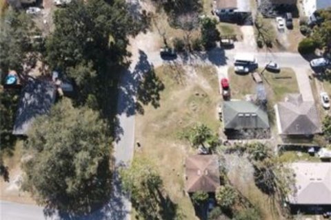 Terreno en venta en Oakland, Florida № 1909051 - foto 2