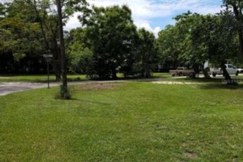 Terreno en venta en Oakland, Florida № 1909051 - foto 4