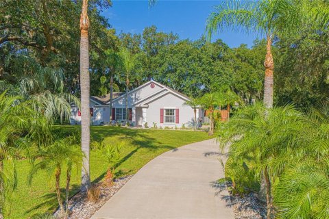 Casa en venta en Kissimmee, Florida, 3 dormitorios, 156.08 m2 № 1853877 - foto 4